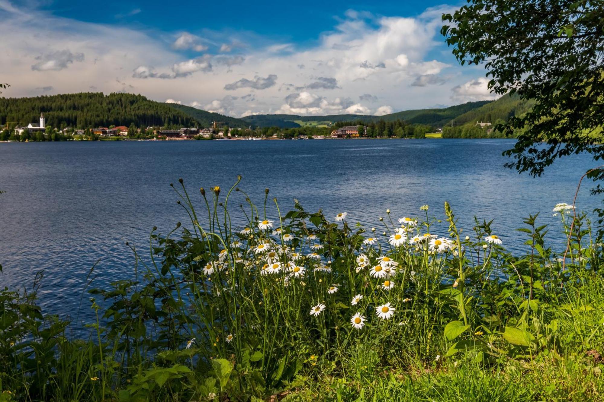 App 3201 - Seewald -mit Indoorpool- Schluchsee, Hochschwarzwaldkarte
